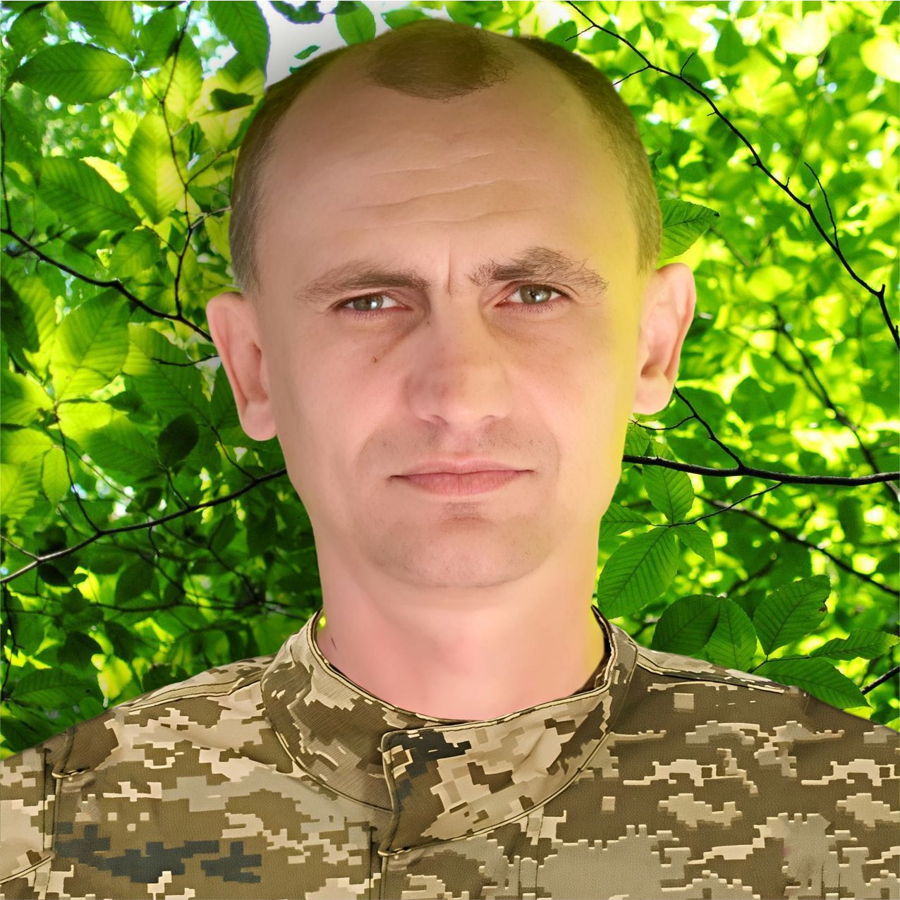 Шевченко Олександр Миколайович